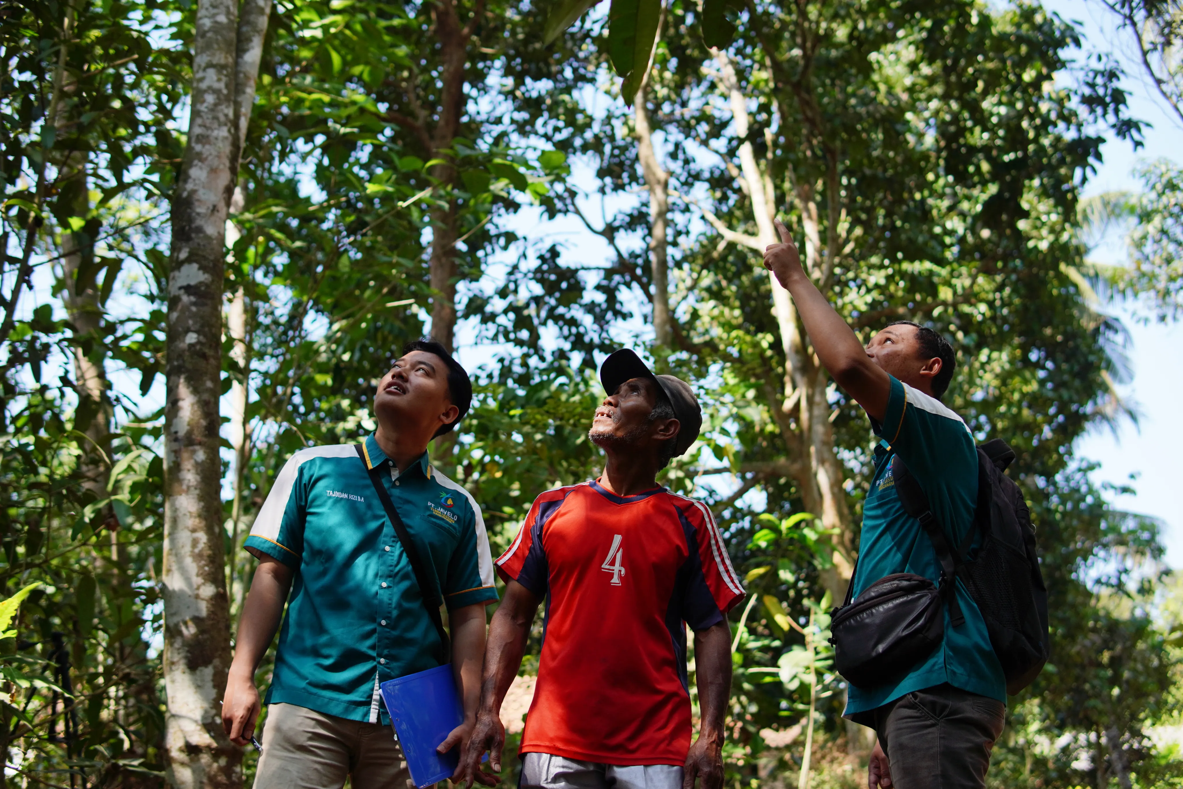 Javelo team and a local farmer inspecting trees in the forest