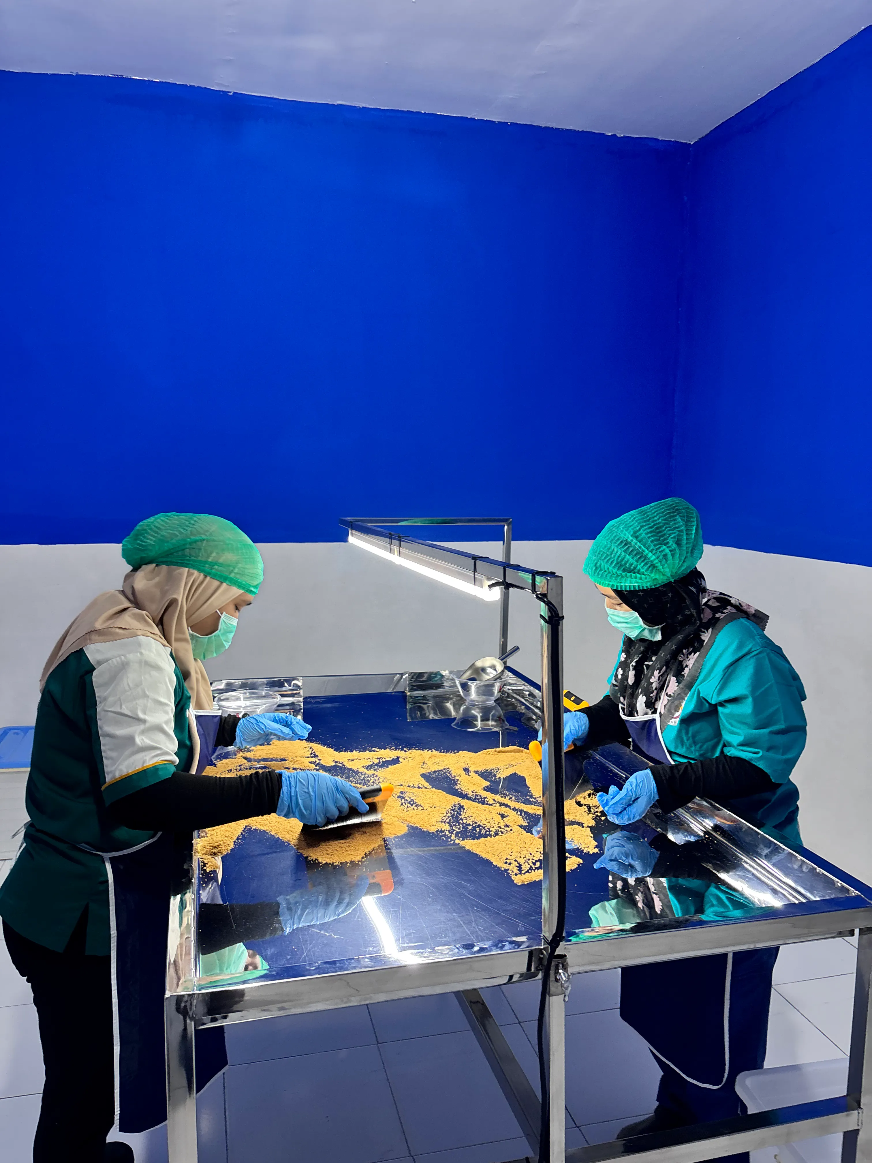 Workers in hairnets and gloves sorting coconut sugar on a steel table