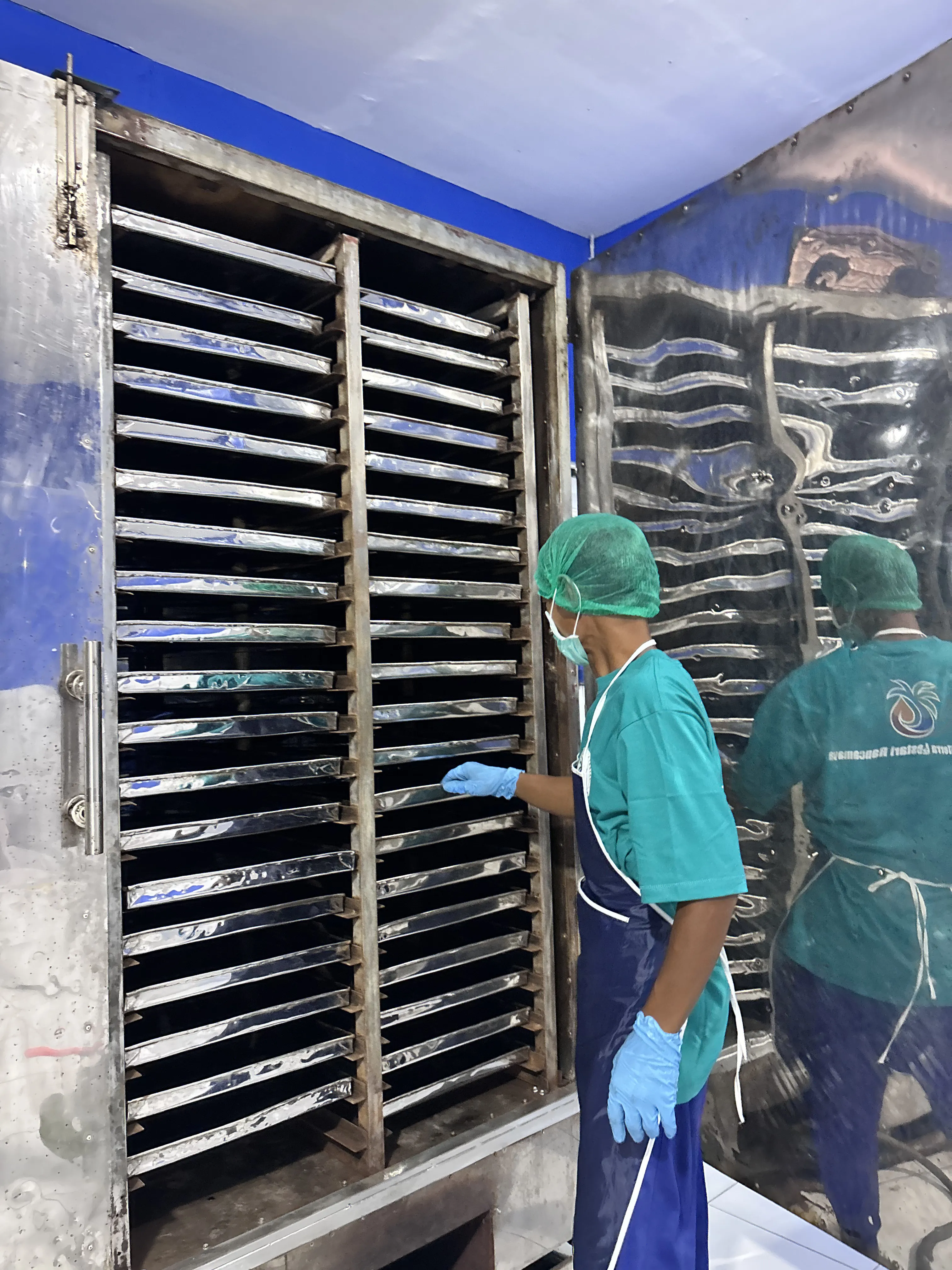 Worker checking trays inside a coconut sugar drying oven