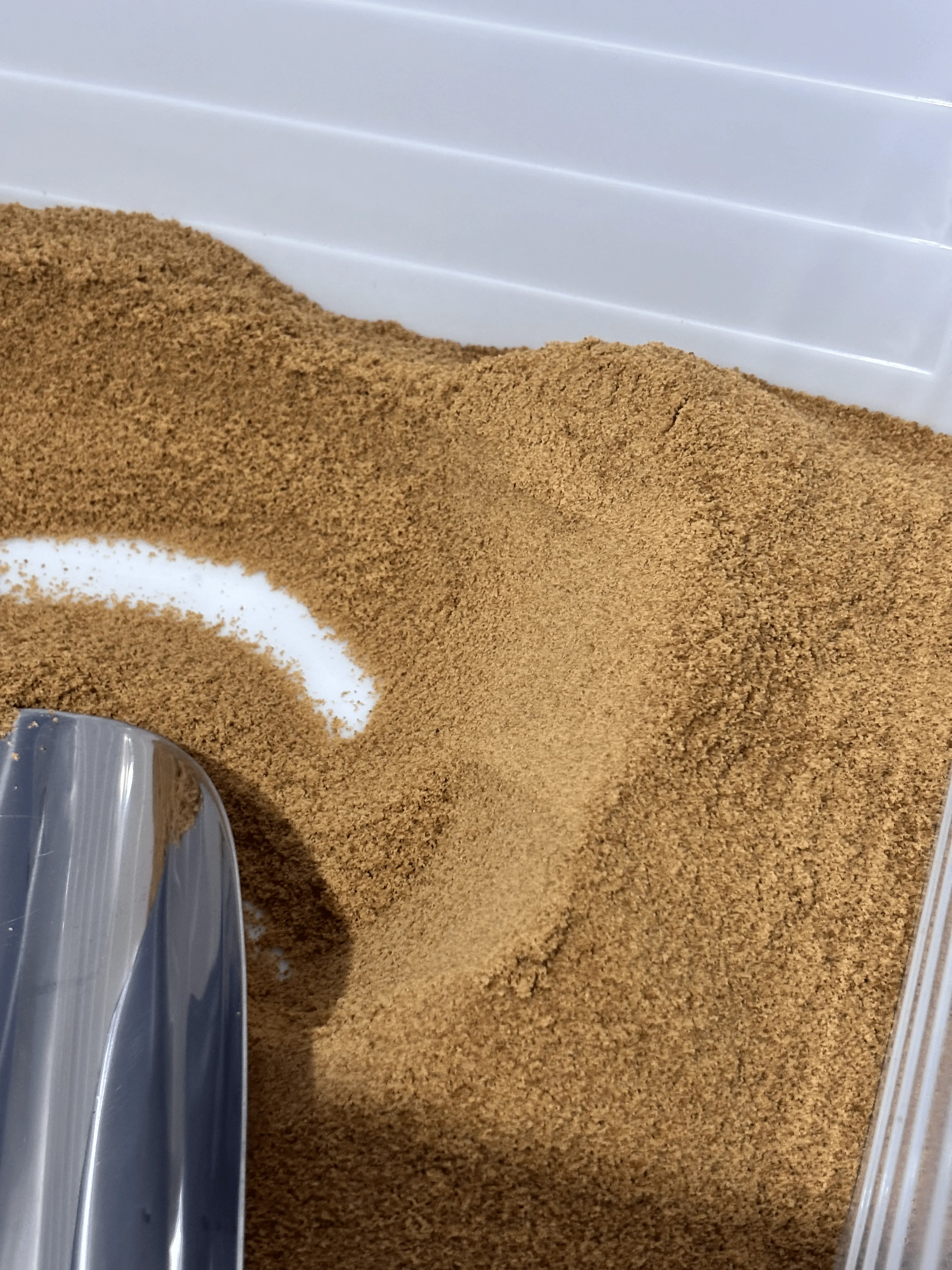Close-up of fine organic coconut sugar with a steel scoop