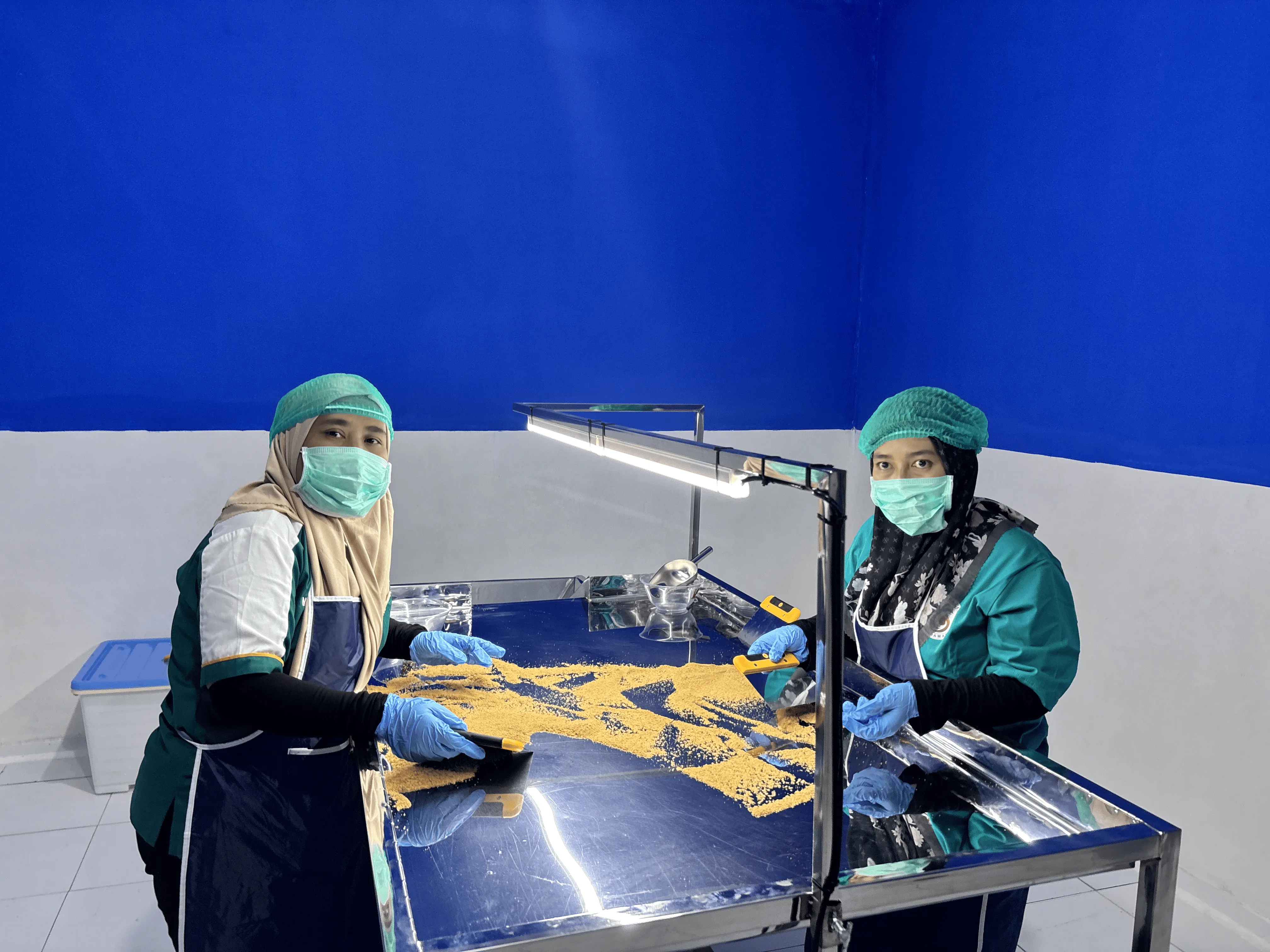 Workers in hairnets and gloves sorting coconut sugar on a steel table